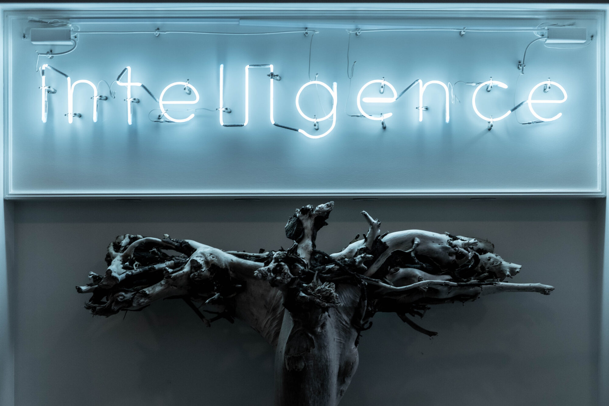 Rebranding and Business Through Spatial Design